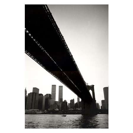 Under the Brooklyn Bridge