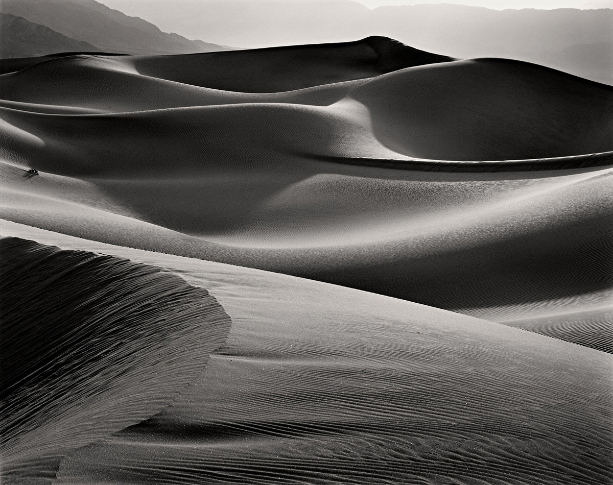 Evening Dunes