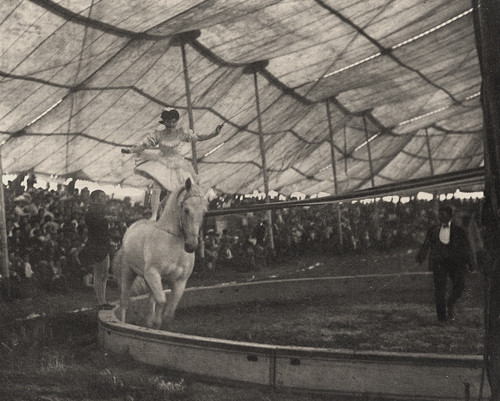 In The Circus