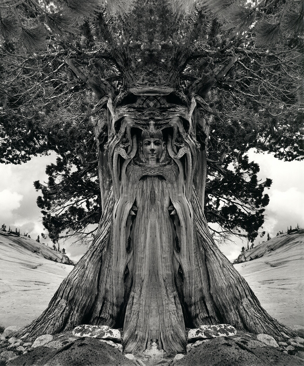 Untitled (Tree Goddess)