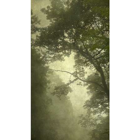 Into the Mist IX