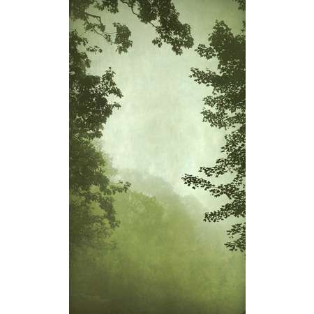 Into the Mist VI