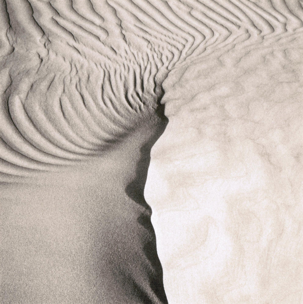 Jeffrey Conley - Dune Detail 1