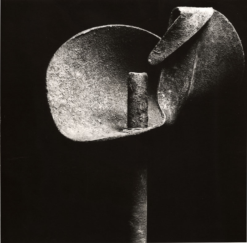 Ladislav Postupa, Flower, 1979, Catherine Couturier Gallery