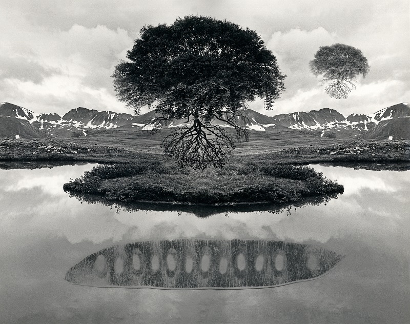 Jerry Uelsmann Untitled Floating Tree Catherine Couturier Gallery
