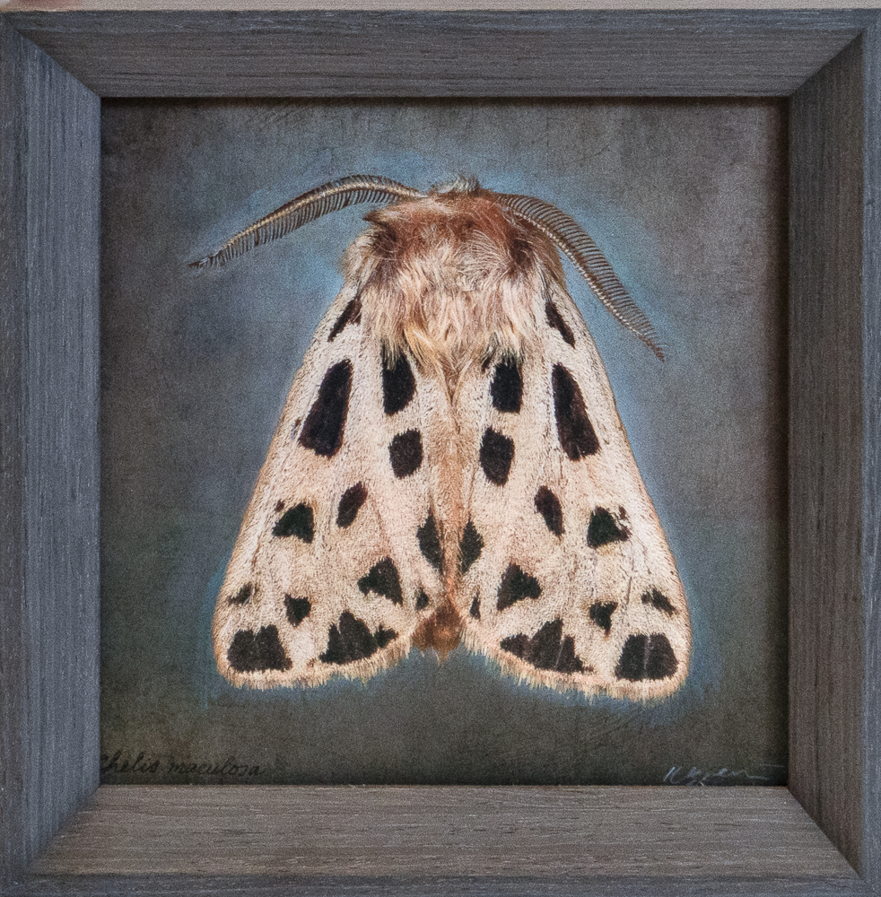 Patty_Carroll_Fishing_Expedition,_2024_Catherine_Couturier_Gallery