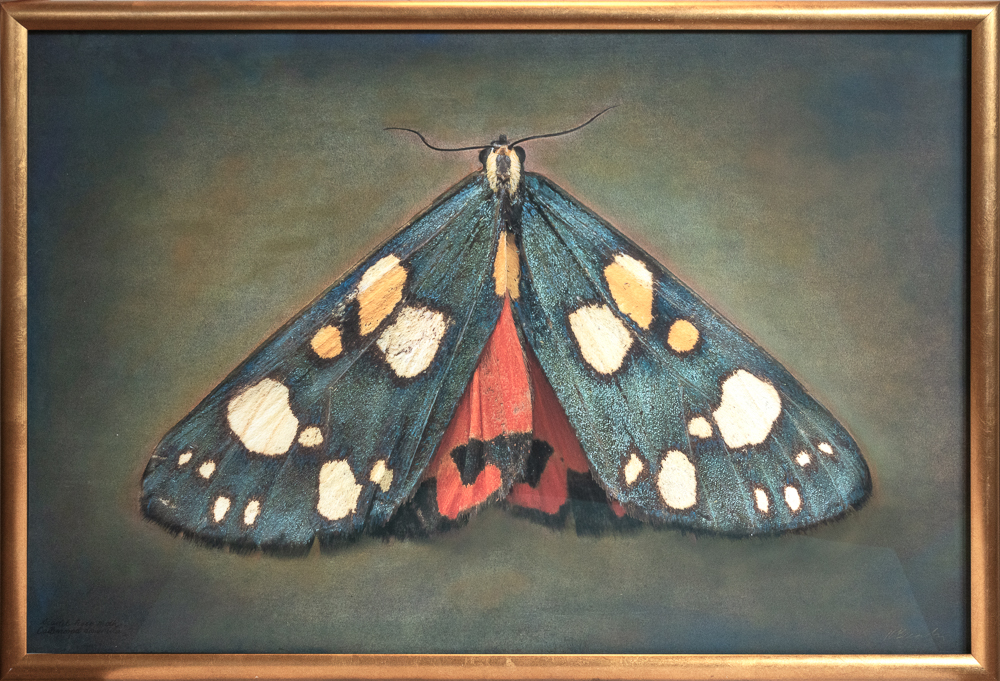 Patty_Carroll_Fishing_Expedition,_2024_Catherine_Couturier_Gallery