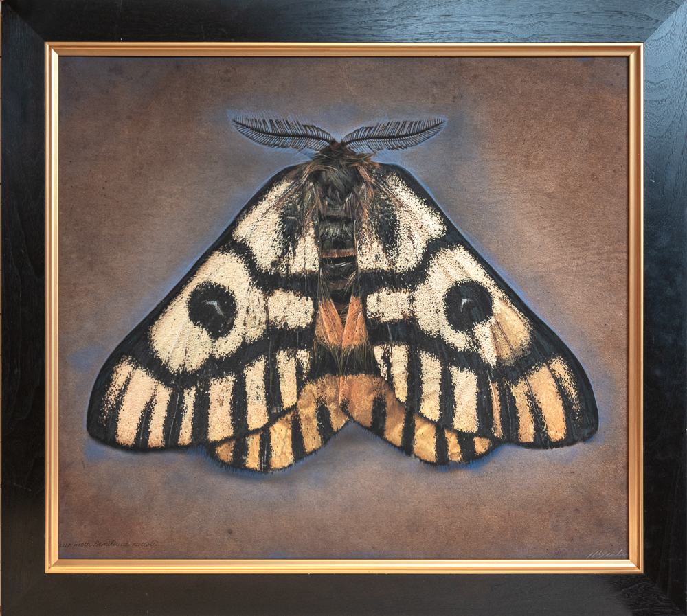 Patty_Carroll_Fishing_Expedition,_2024_Catherine_Couturier_Gallery