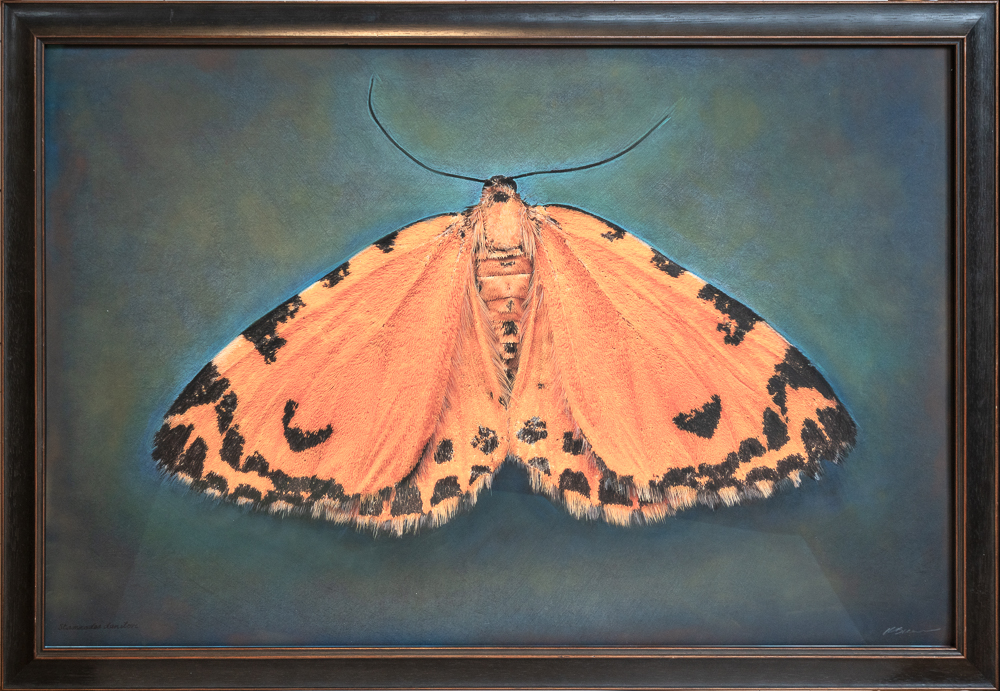 Patty_Carroll_Fishing_Expedition,_2024_Catherine_Couturier_Gallery