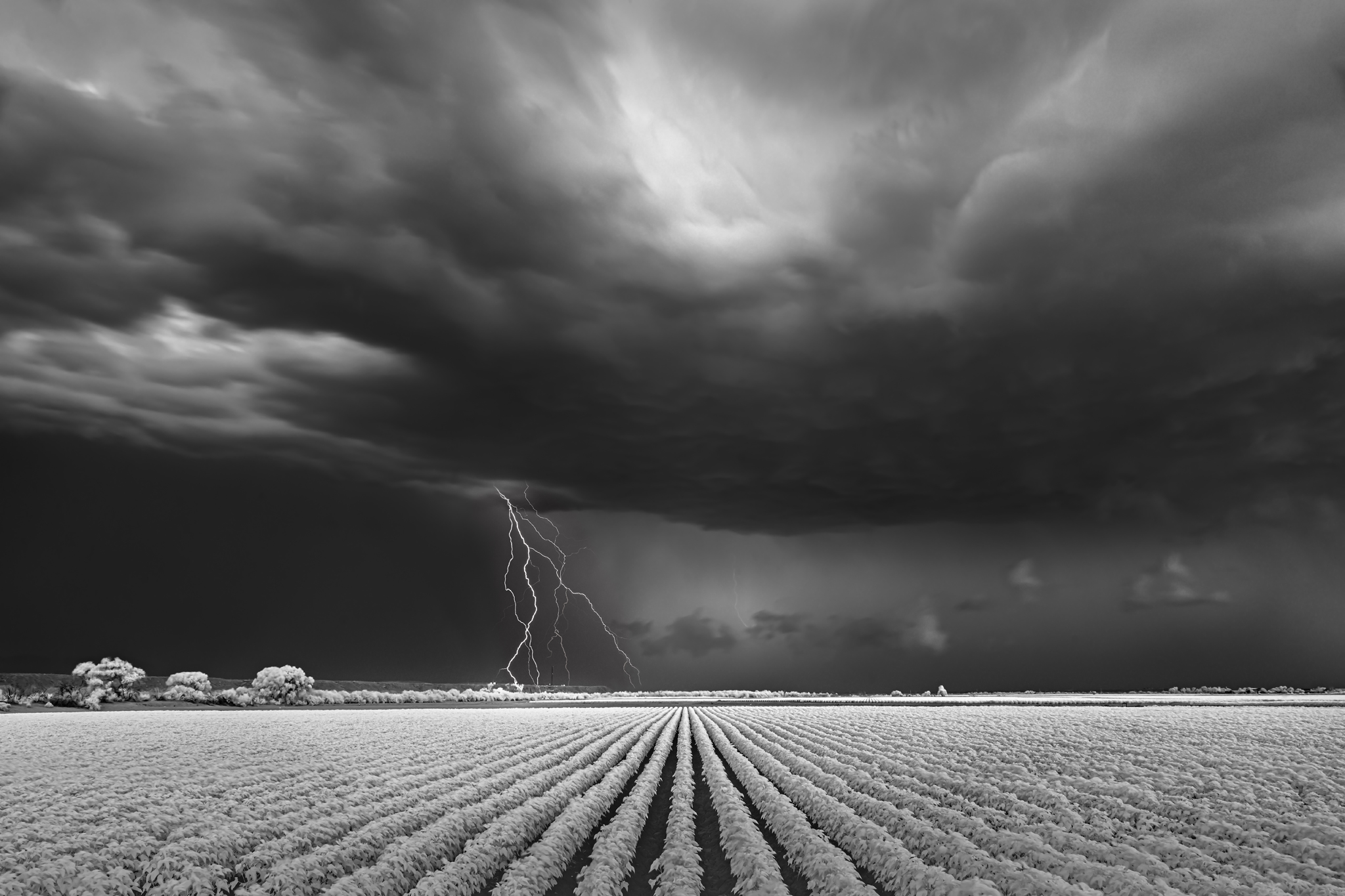 Lightning Over Cotton Field Mitch Dobrowner