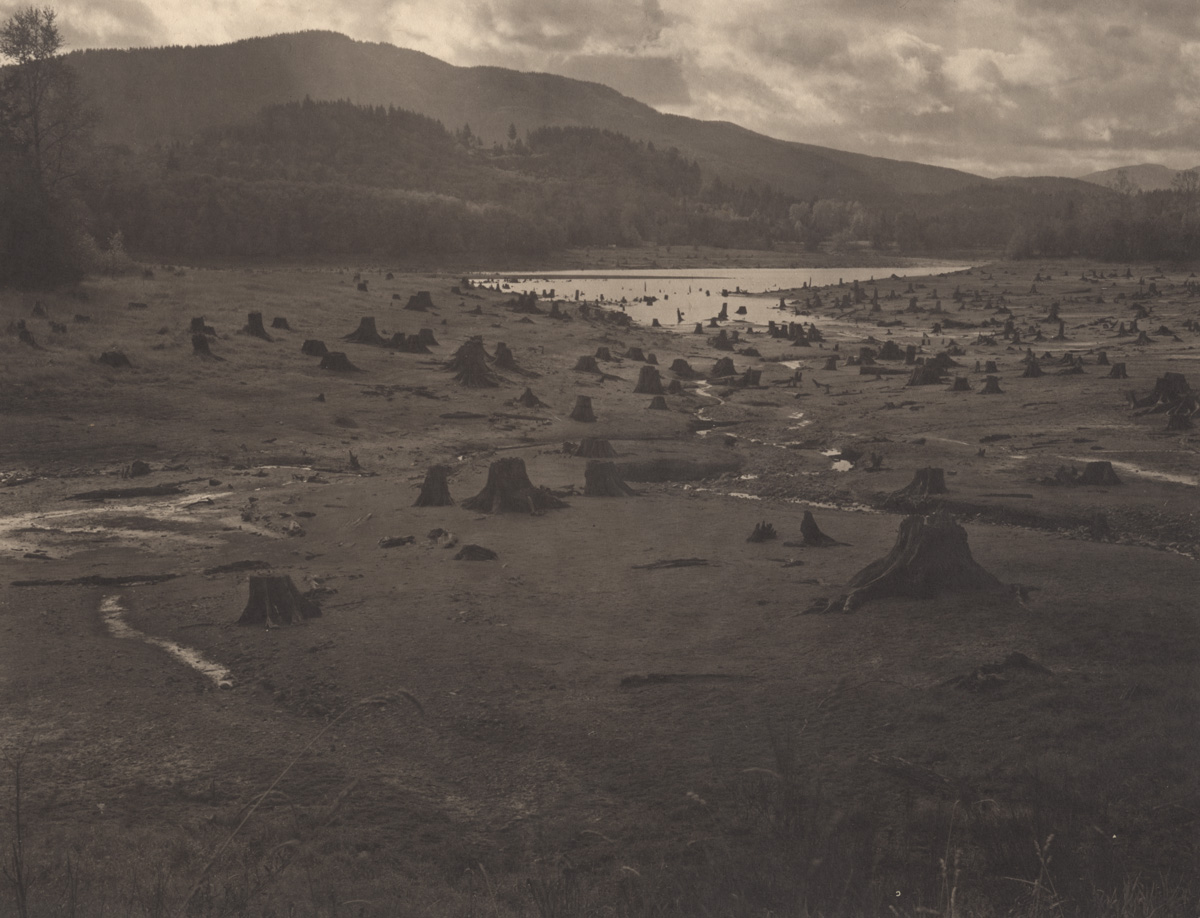 Takeshi Shikama Silent Respiration of Forests - Pacific Northwest: Alder Lake