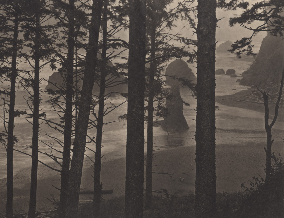 Takeshi Shikama Silent Respiration of Forests - Pacific Northwest: Ruby Beach #1