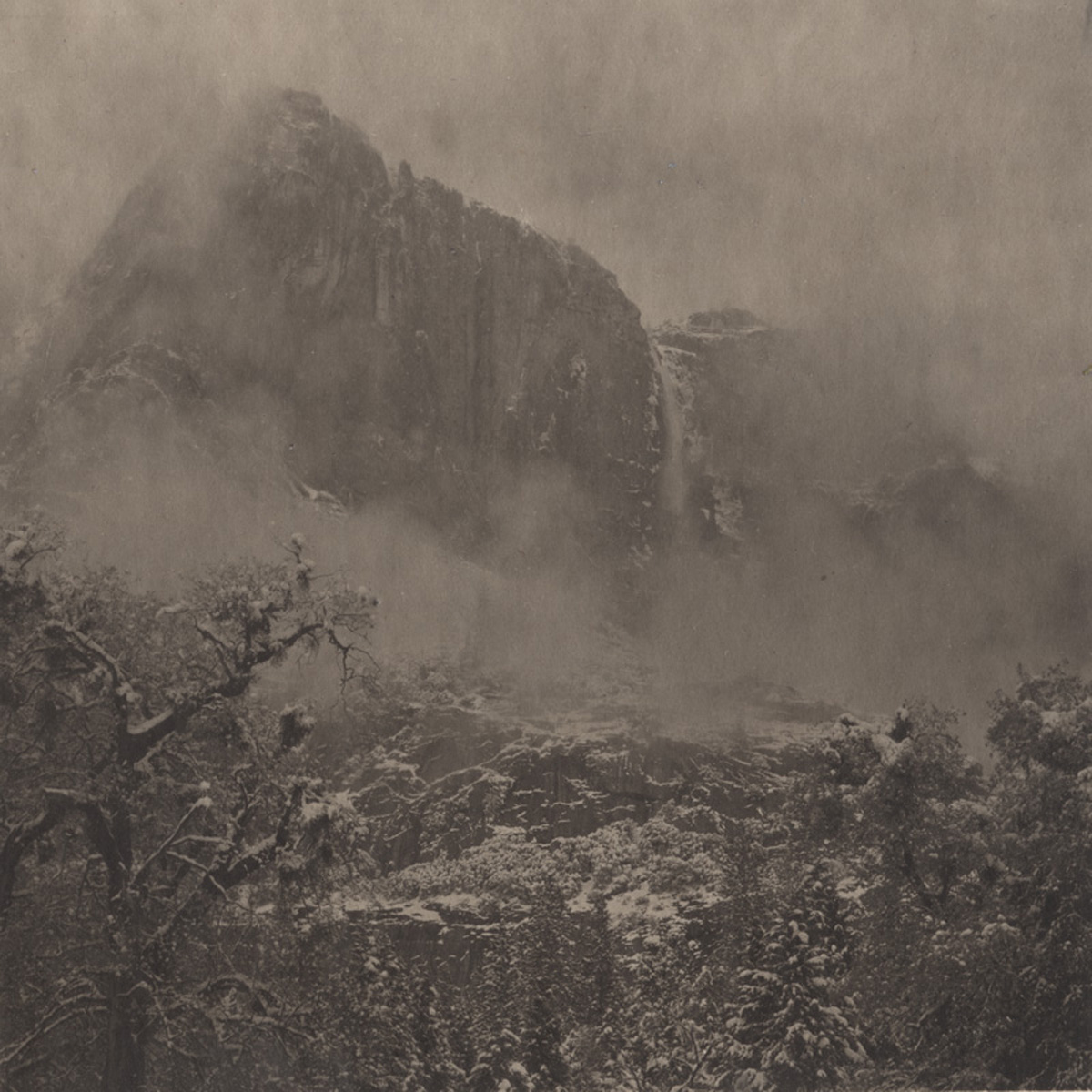 Tikeshi Shikama Silent Respiration of Forests - Yosemite #9