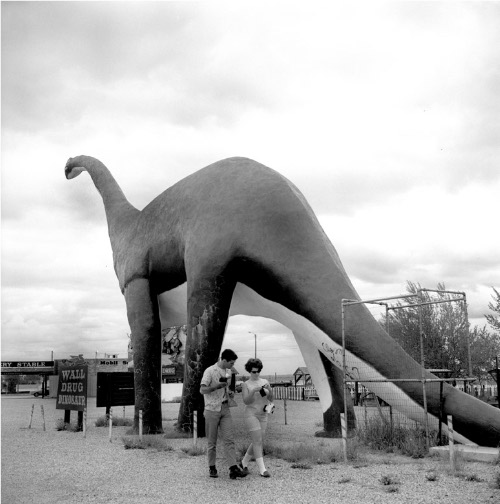 Dinosaur, Wall Drug Store, South Dakota, 1967 Catherine Couturier