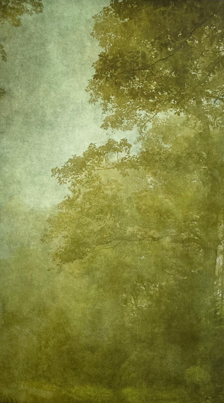 Into the Mist VIII, Wendi Schneider, Catherine Couturier Gallery