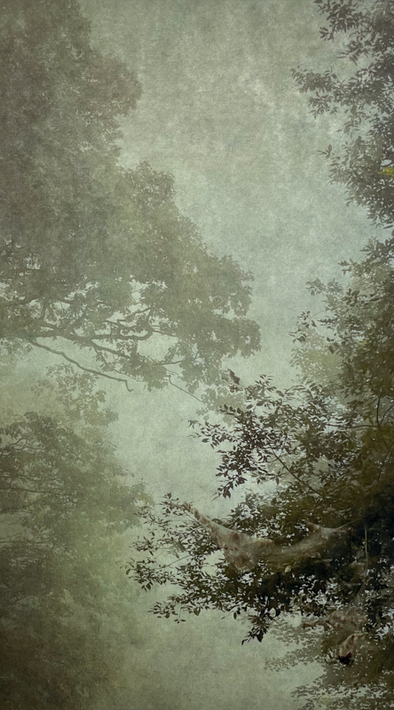 Into the Mist IV, Wendi Schneider, Catherine Couturier Gallery