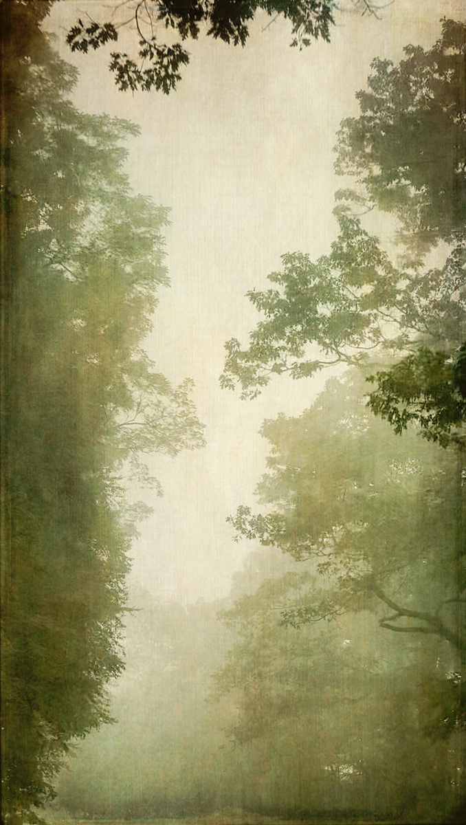 Into the Mist II, Wendi Schneider, Catherine Couturier Gallery