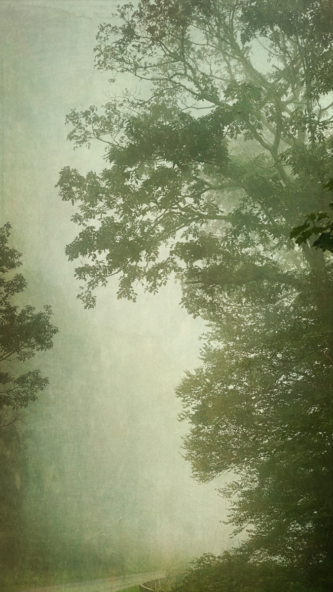 Into the Mist V, Wendi Schneider, Catherine Couturier Gallery