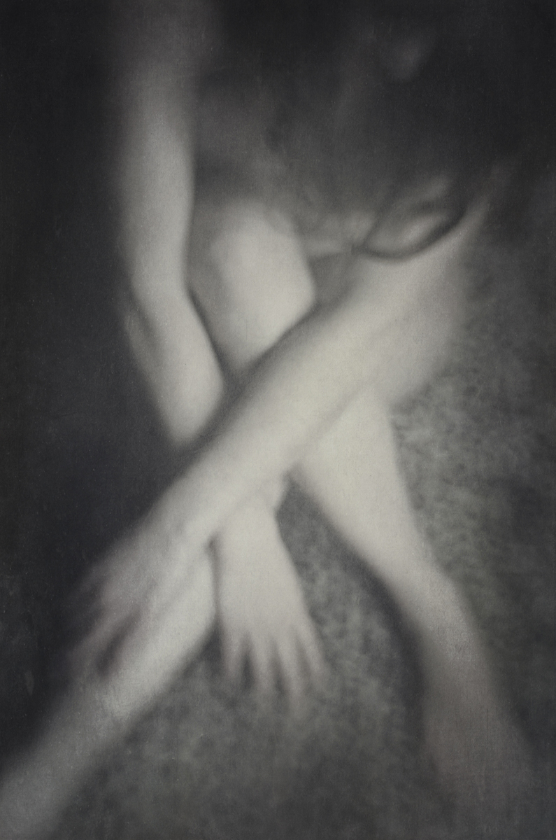 Wendi Schneider, Hidden Within, 2013, Catherine Couturier Gallery