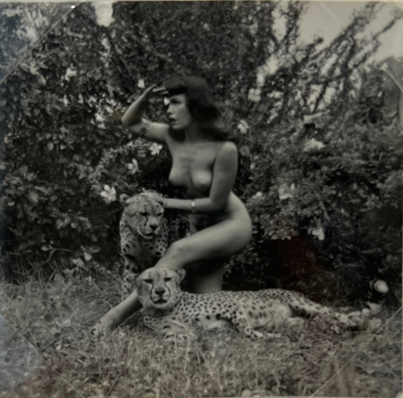 Bettie Page with Cheetahs, 1954