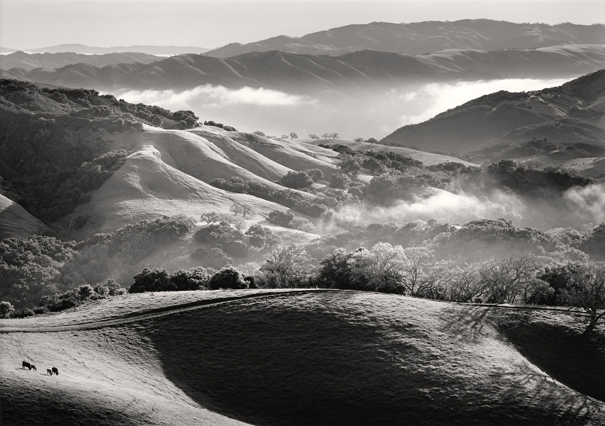 Carmel Valley from Hall's Ridge