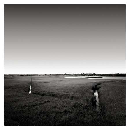 Salt Marsh, Oak Bluffs, Massachusetts