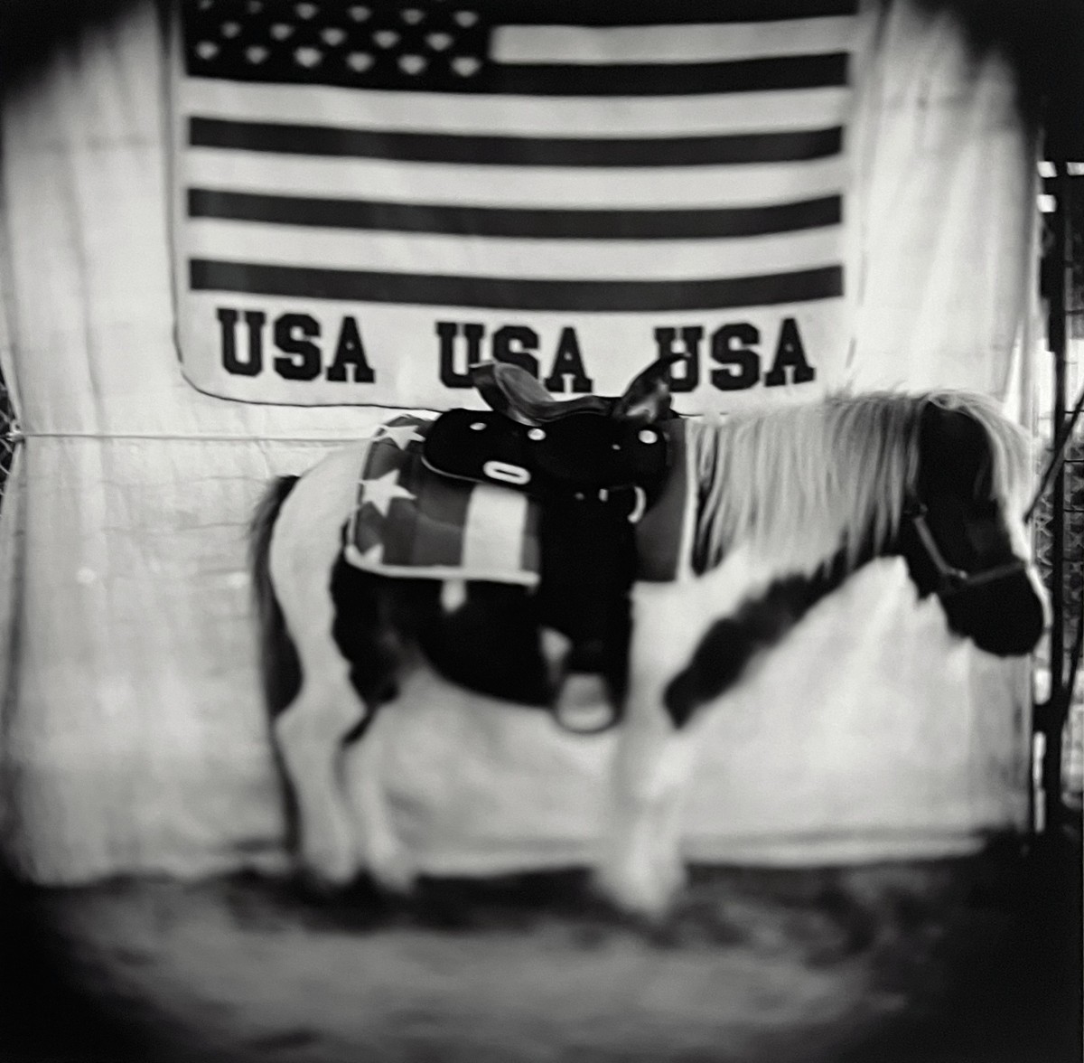 Pony Ride