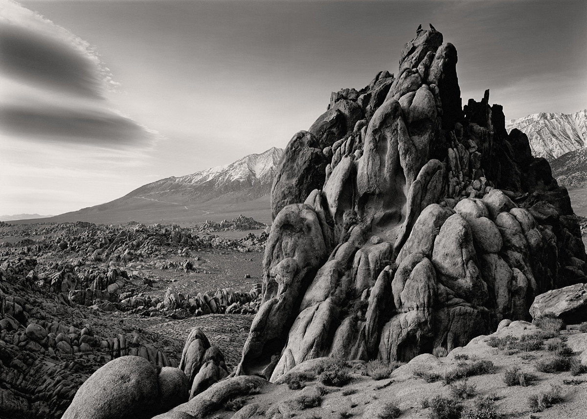 Landscape for Two Ravens