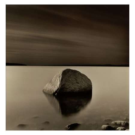 Star Trails and Animal Sound