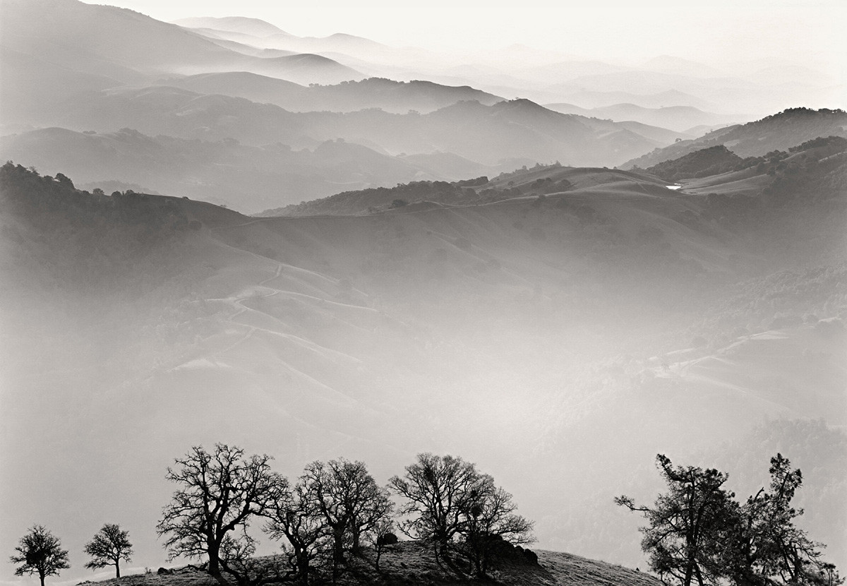 Misty Landscape with Pool