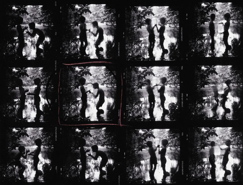 Fireflies Contact Sheet