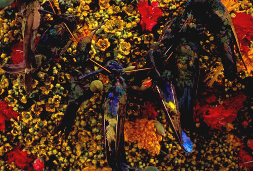 Remedio Del Corazon, 2004