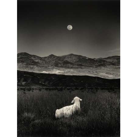 We All Love the Same Moon