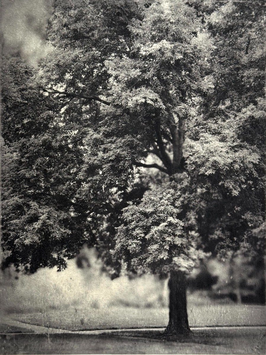 The Glimmer of Presence