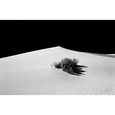 White Sands Dune