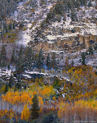 Autumn Snow, near South Lake, Eastern Sierra
