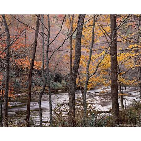 Creekside, North Carolina, Autumn