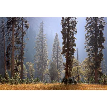 El Capitan Meadow, Autumn, Yosemite