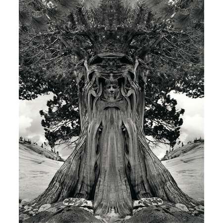 Untitled (Tree Goddess)