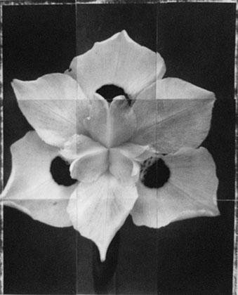 Charles Grogg Morea