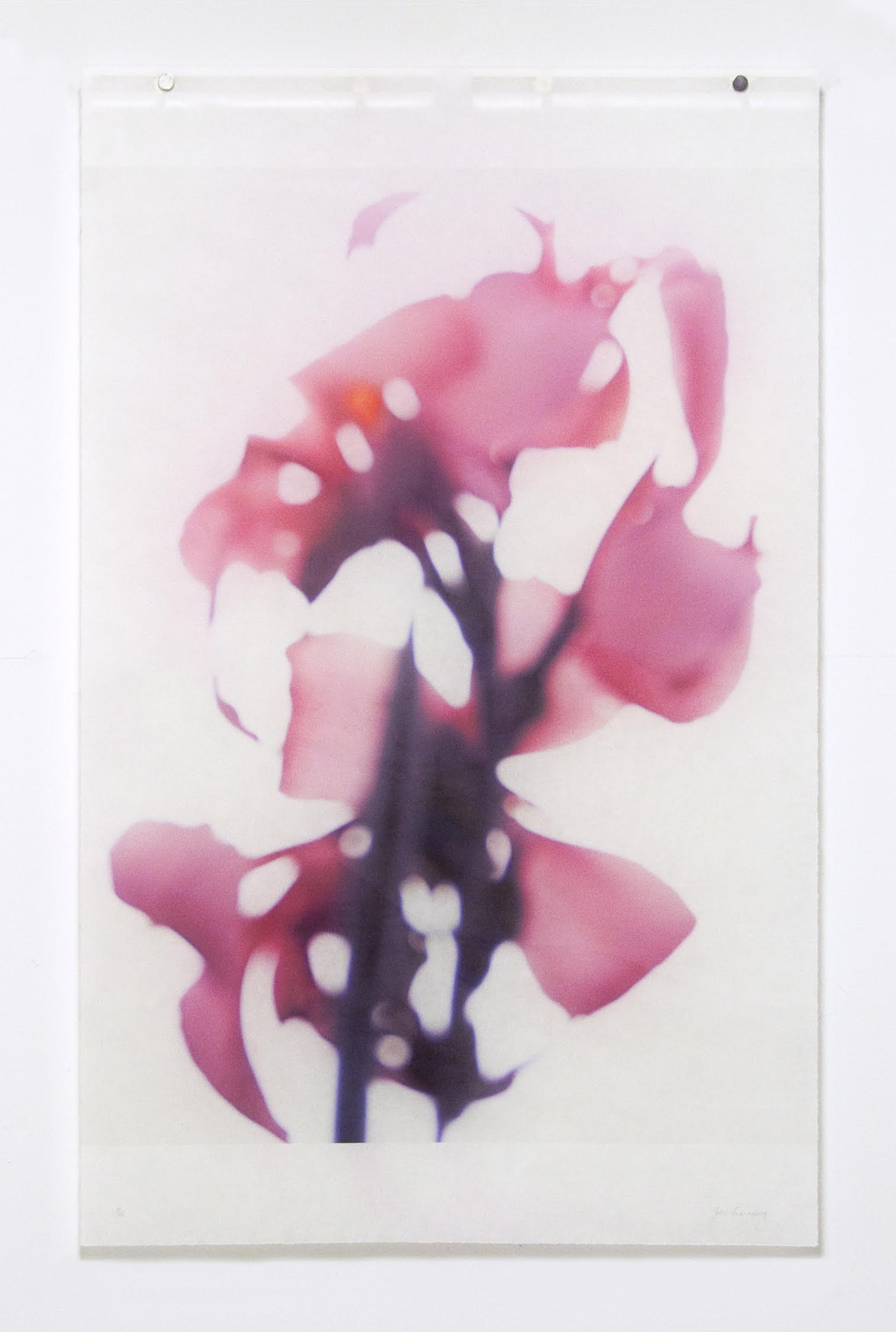 Jeri Eisenberg, Canna, No. 2, 2020, Catherine Couturier Gallery