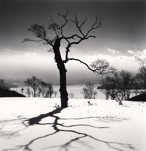 Tree and Kussharo Lake, Akan-Mashu Park, Hokkaido, Japan, Catherine Couturier Gallery