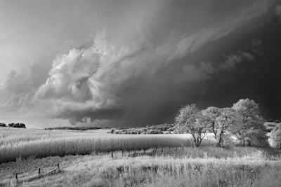 Mitch Dobrowner, Storm, Field and Trees.