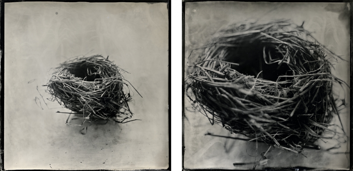S. Gayle Stevens, Nest House of Straw 1 2