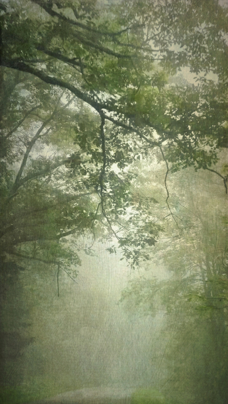 Into the Mist I, Wendi Schneider, Catherine Couturier Gallery
