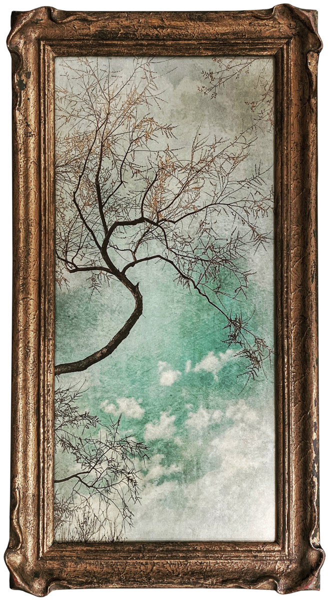 Wendi Schneider, Refuge, Patina Collection, Catherine Couturier Gallery